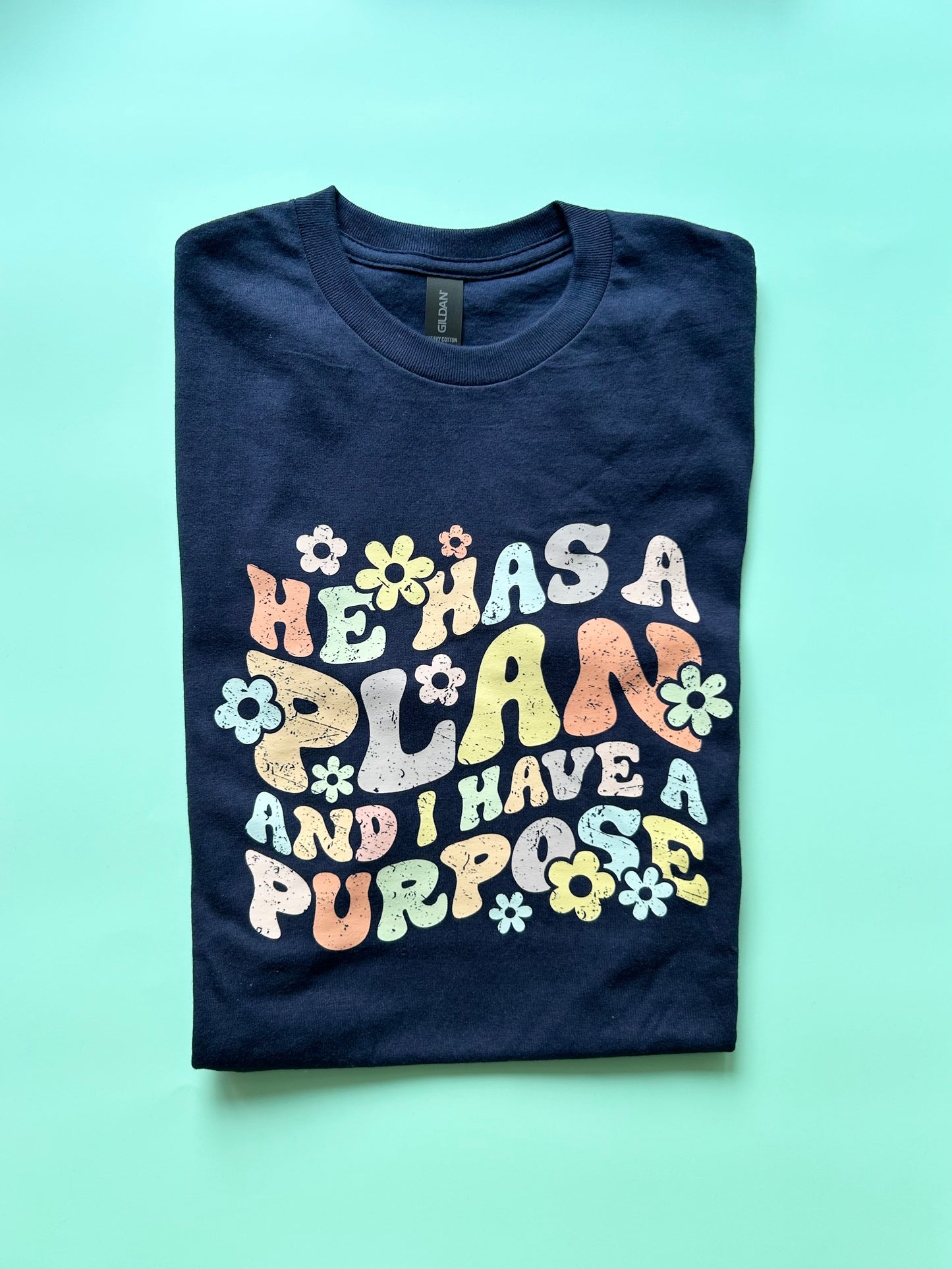 He Has A Plan T-shirt (Adult)